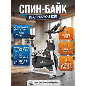 ����-���� DFC PASYOU S30